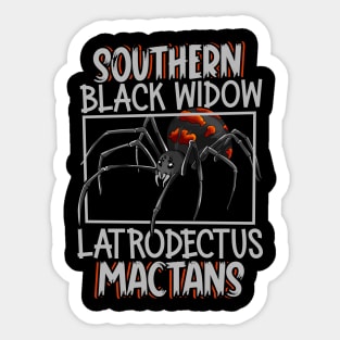 Southern black widow Sticker